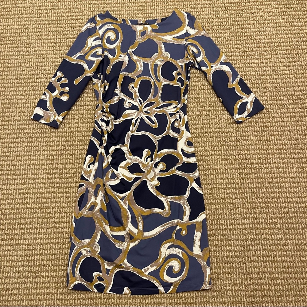 J. McLaughlin Catalina Cloth Sage Dress Blue Floral Small
